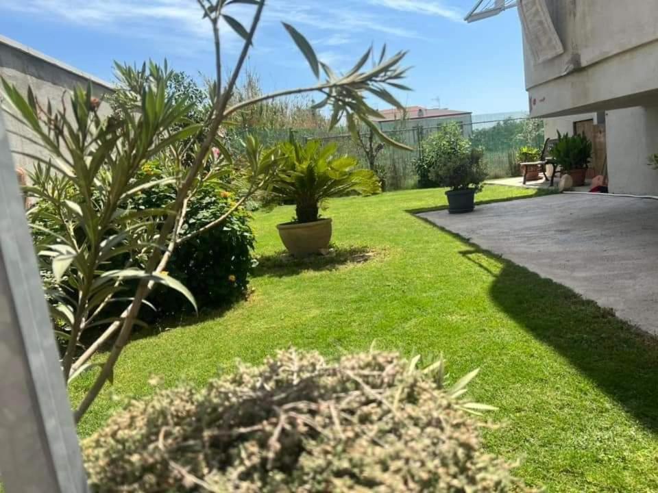 Casa Vacanze Federica كالياري المظهر الخارجي الصورة
